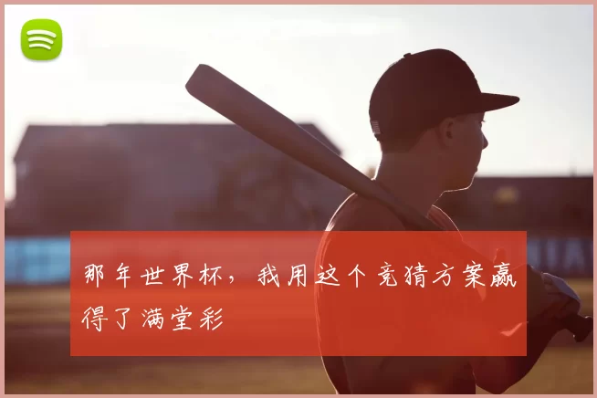 那年世界杯,我用这个竞猜方案赢得了满堂彩