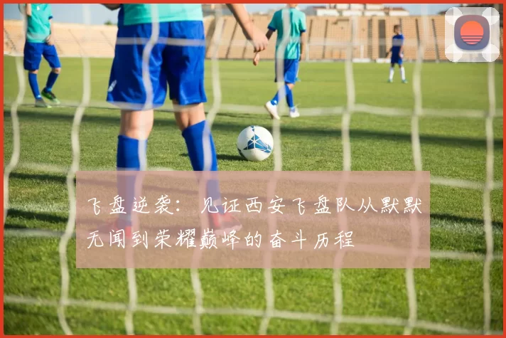 飞盘逆袭:见证西安飞盘队从默默无闻到荣耀巅峰的奋斗历程