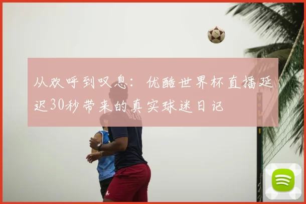 从欢呼到叹息:优酷世界杯直播延迟30秒带来的真实球迷日记