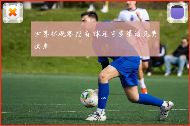 世界杯观赛指南 球迷可多渠道免费收看