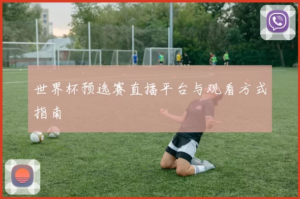 世界杯预选赛直播平台与观看方式指南