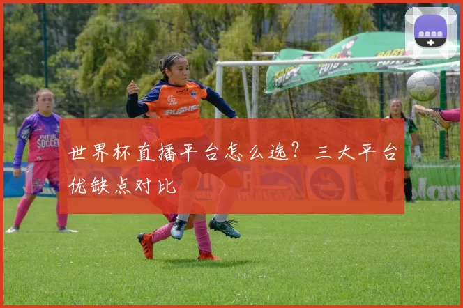 世界杯直播平台怎么选?三大平台优缺点对比