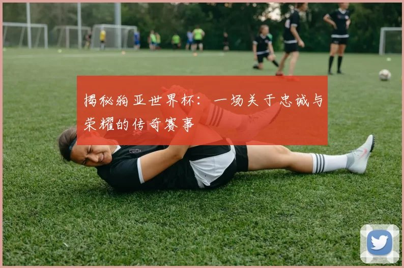 揭秘狗亚世界杯:一场关于忠诚与荣耀的传奇赛事