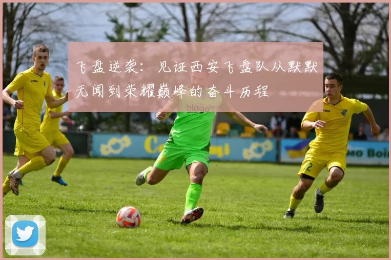 飞盘逆袭：见证西安飞盘队从默默无闻到荣耀巅峰的奋斗历程