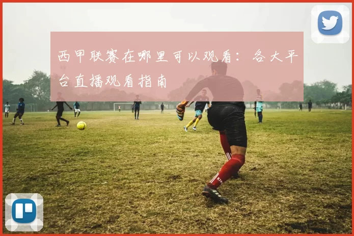 西甲联赛在哪里可以观看：各大平台直播观看指南