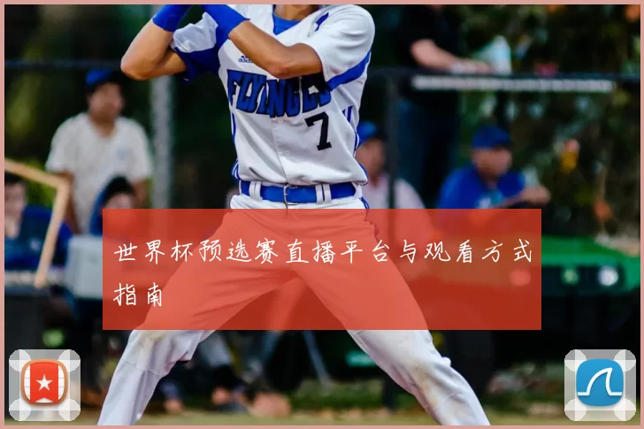 世界杯预选赛直播平台与观看方式指南