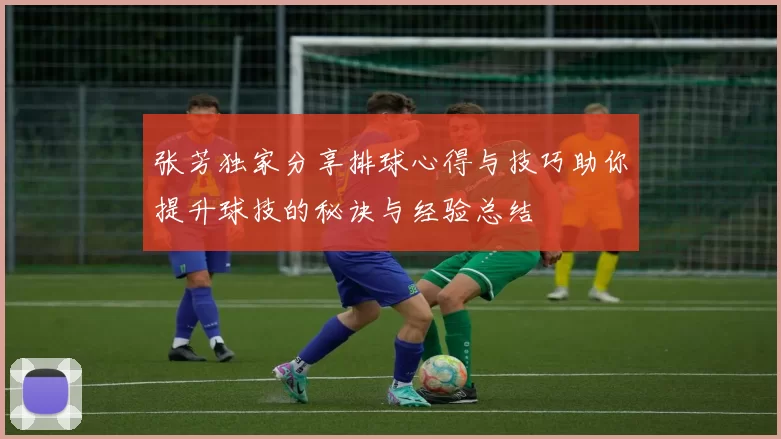 张芳独家分享排球心得与技巧助你提升球技的秘诀与经验总结